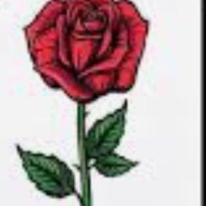 Meet your Posher, Parris